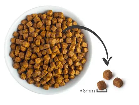 Alimento Finotrato Perro Adulto 3Kg