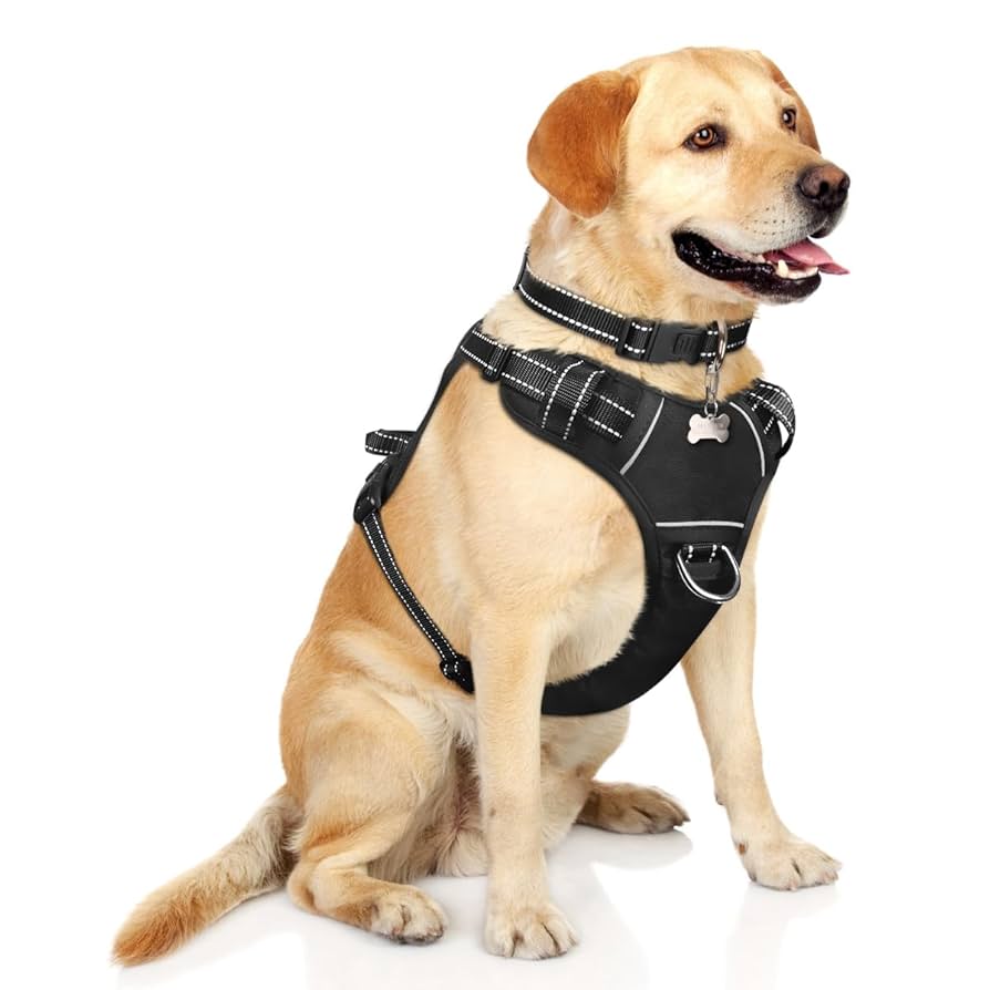 Collar de Perro Perchero Raza Mediana