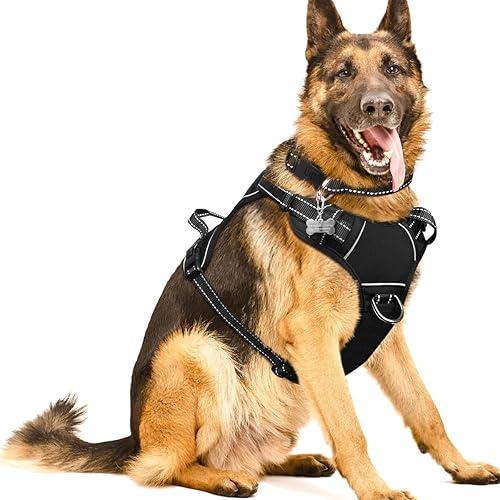 Collar de Perro Perchero Raza Mediana
