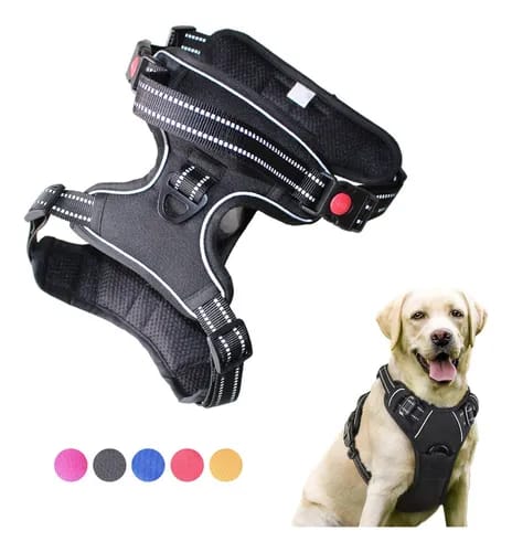Collar de Perro Perchero Raza Mediana